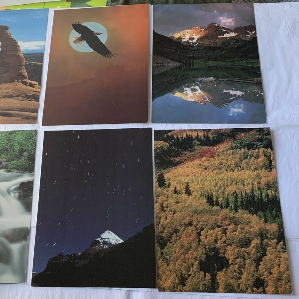 Conservation International Vintage Posters